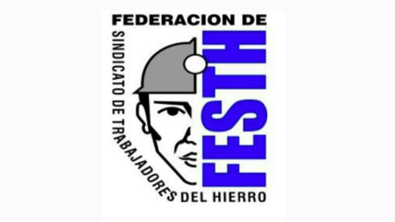 BANNER FESTH VALLENAR